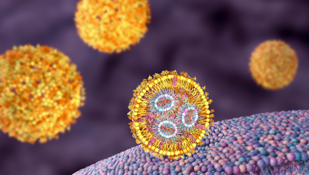 mRNA-LNP Vaccines on the Frontline of Cancer Immunotherapy