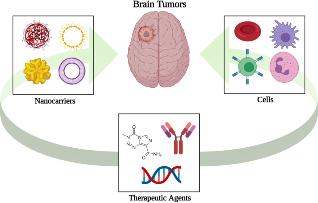 Biomimetic and cell-based nanocarriers in brain tumor targeting.