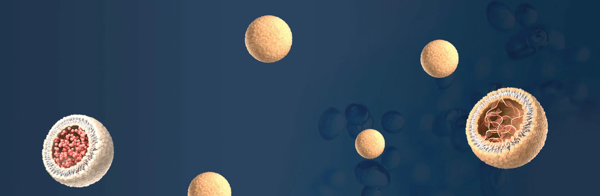 banner_2