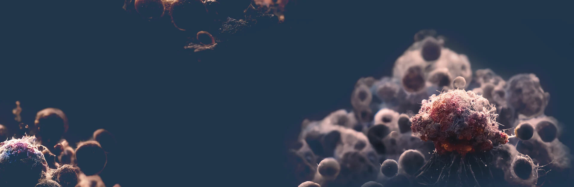 banner_3