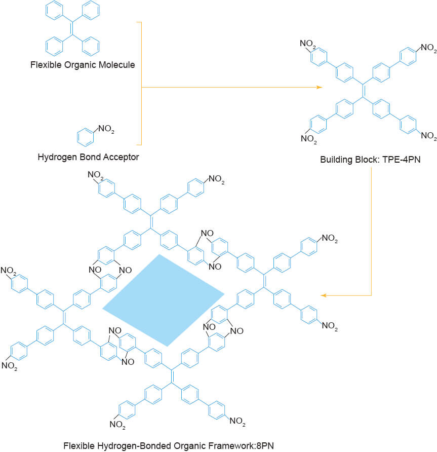Schematic diagram of the formation of 8PN HOFs