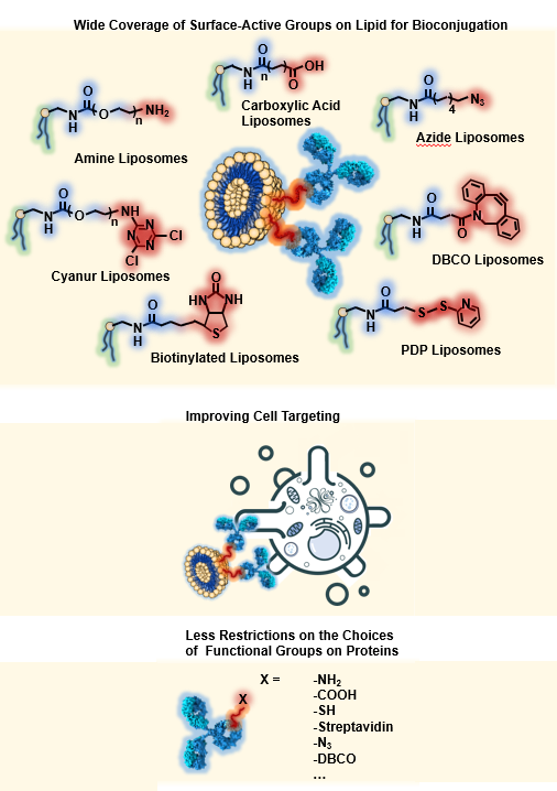 Reactive Liposomes - CD Bioparticles
