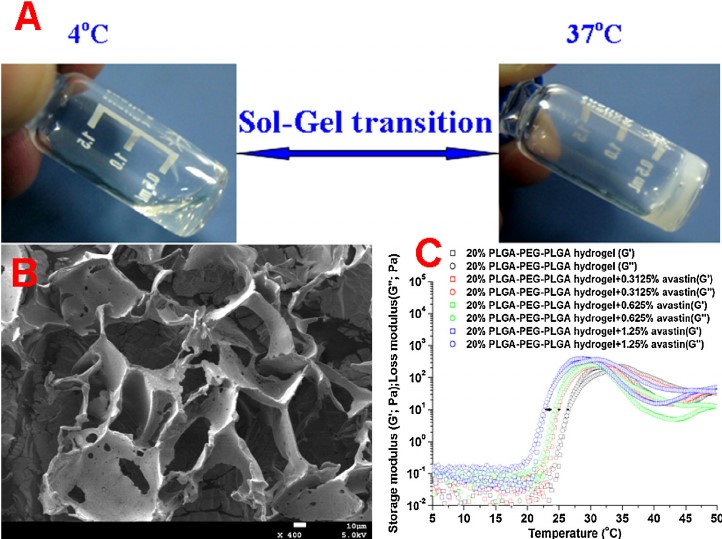 Application of PLGA-PEG-PLGA Hydrogel in 3D Culture