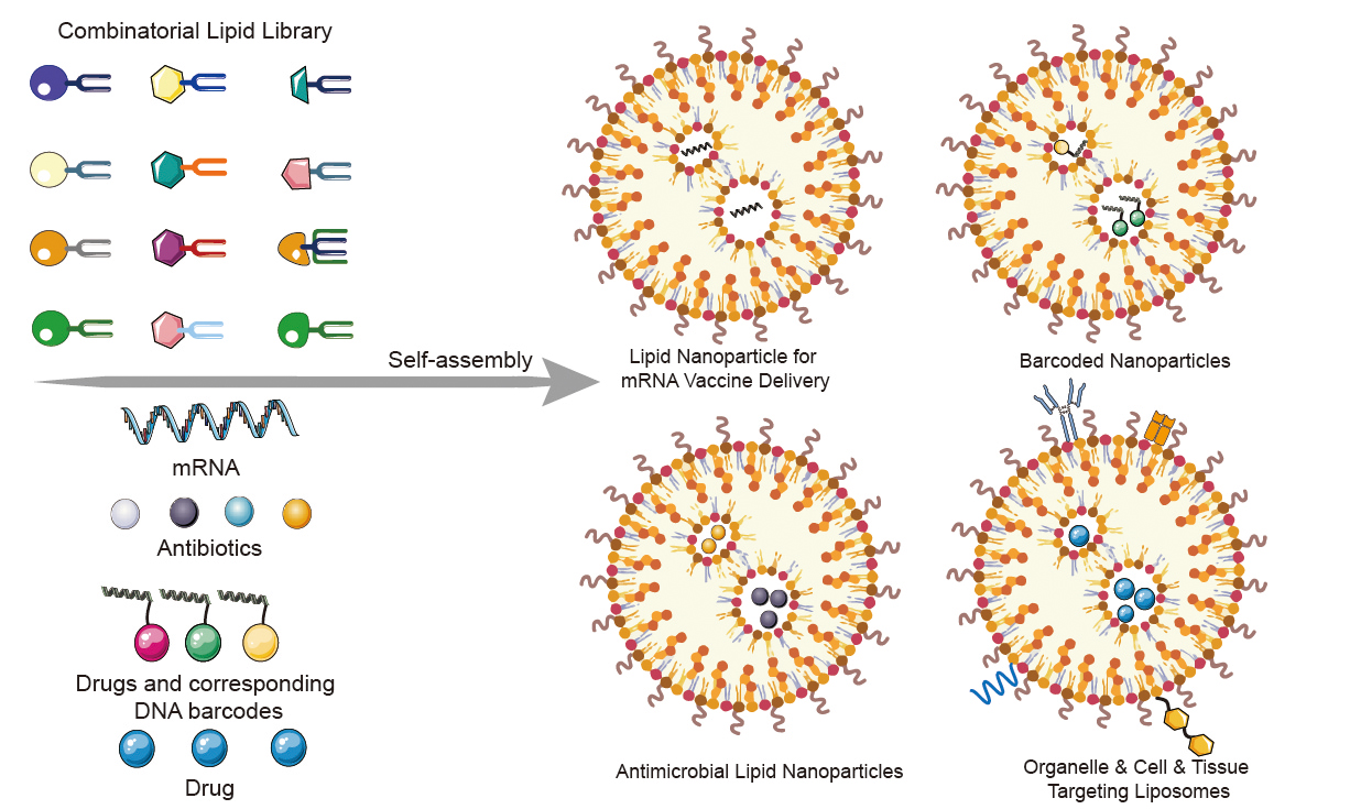 Lipid Library Development for Drug Delivery