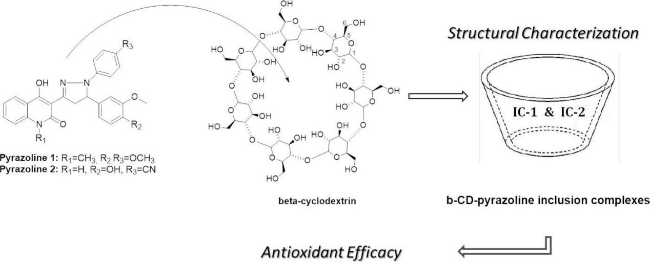 Modification and Application of Green Carrier Material β-cyclodextrin