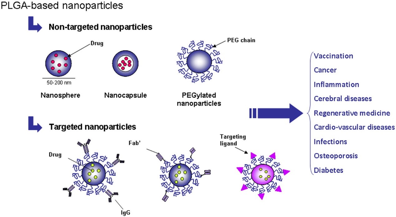 PLGA Nanoparticles and Their Potential in Biomedical Applications