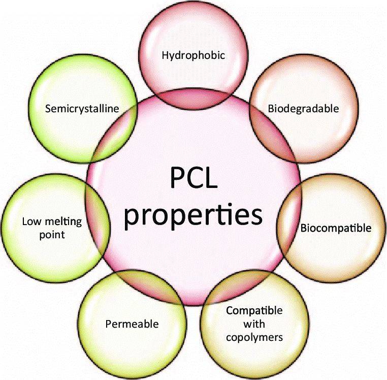 Research on Polycaprolactone (PCL)