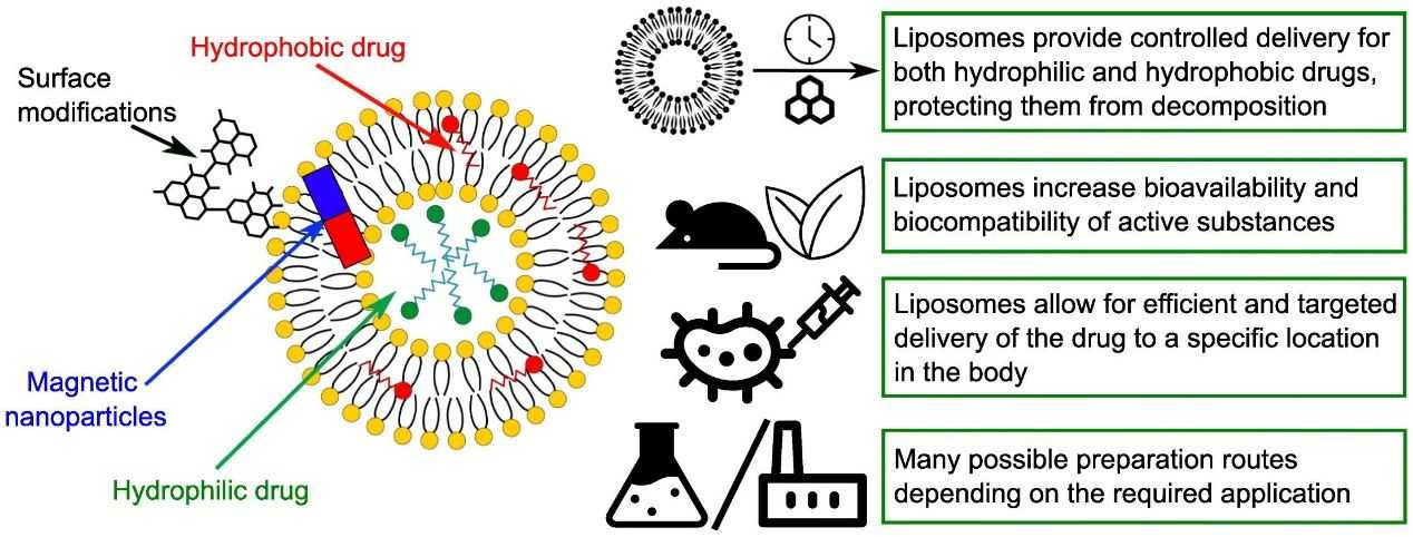 Research Progress and Applications of Liposome Drug Delivery Systems