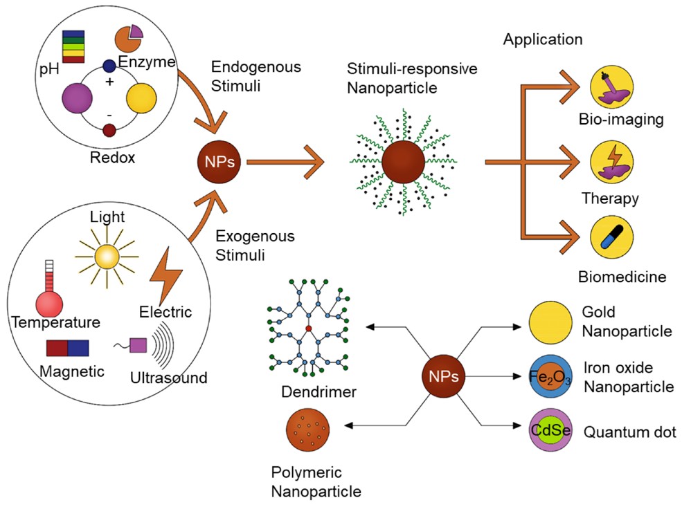 Study on Stimuli-Responsive Nano Drug Delivery System Based on Hyaluronic Acid