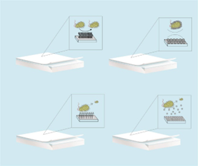 Antimicrobial Coatings