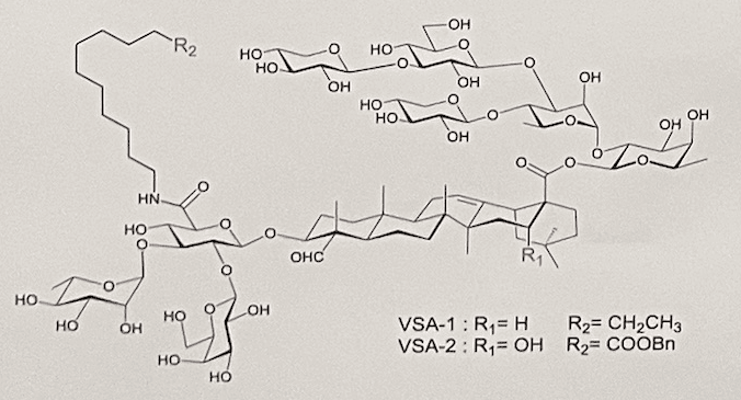 VSA 1