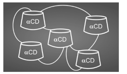 αCDPS