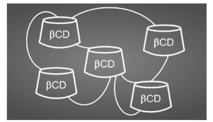 βCDPS (120 KDa)