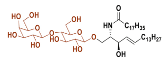 Lactosyl-beta-1,1′ N-stearoyl-D-erythro-sphingosine