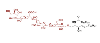 Neu5Aca2, 6Galb1, 4Glc Ceramide