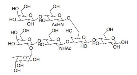 Monofucosyllacto-N-hexaose