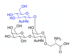 Core 2 Ser - CD Bioparticles