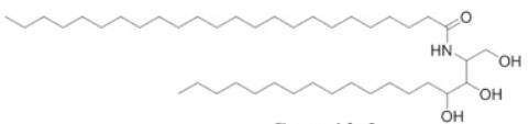 Clipos™ Nanoliposomal Ceramide