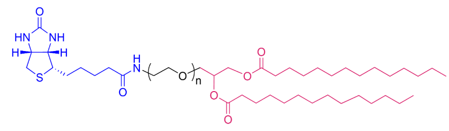 Biotin-PEG-DMG, 10K