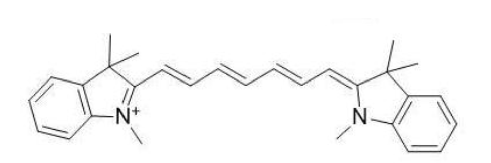 CY7 monomer - CD Bioparticles