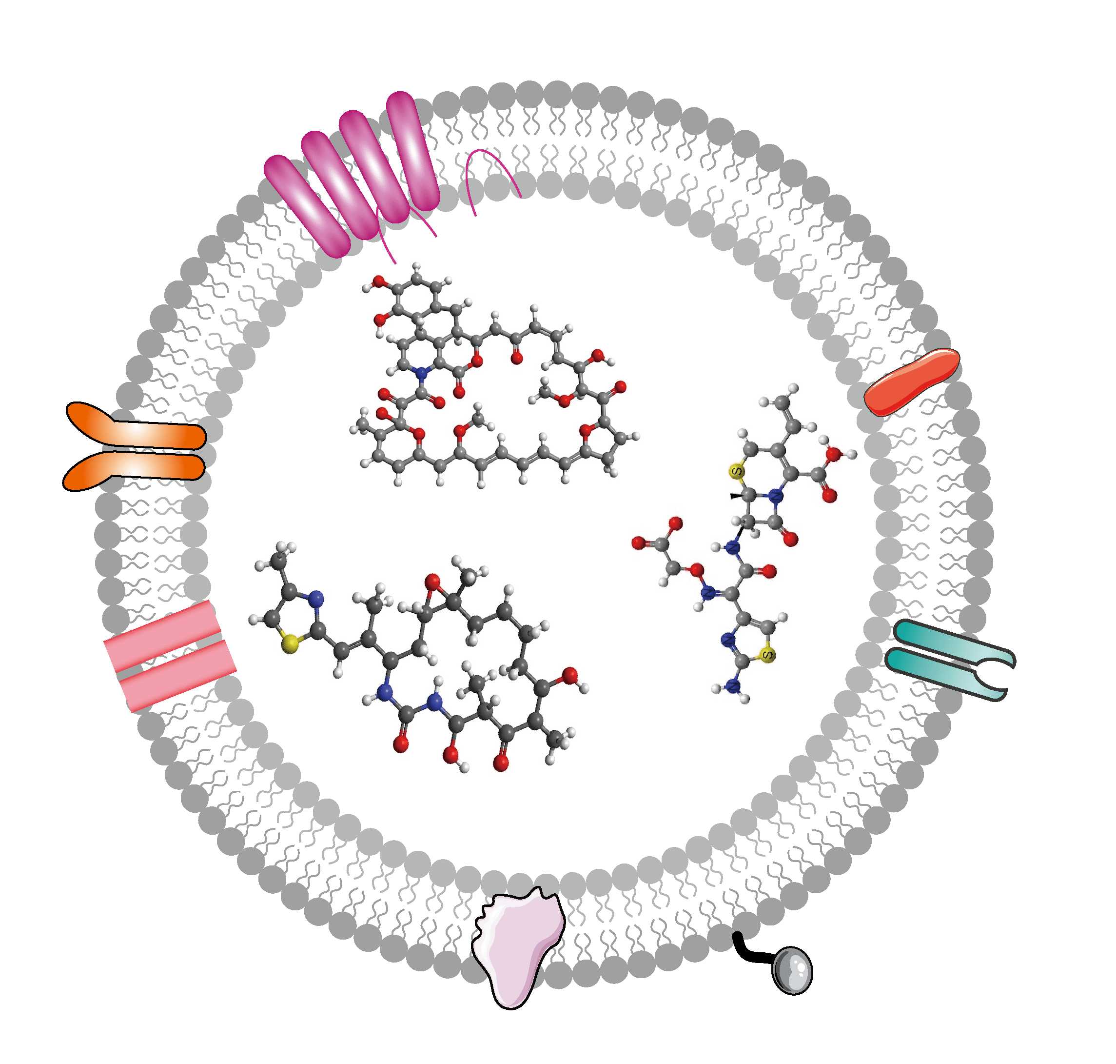 Clipos™ Nexturastat A Encapsulated Liposomes - CD Bioparticles