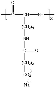 Succinylated PLL - CD Bioparticles