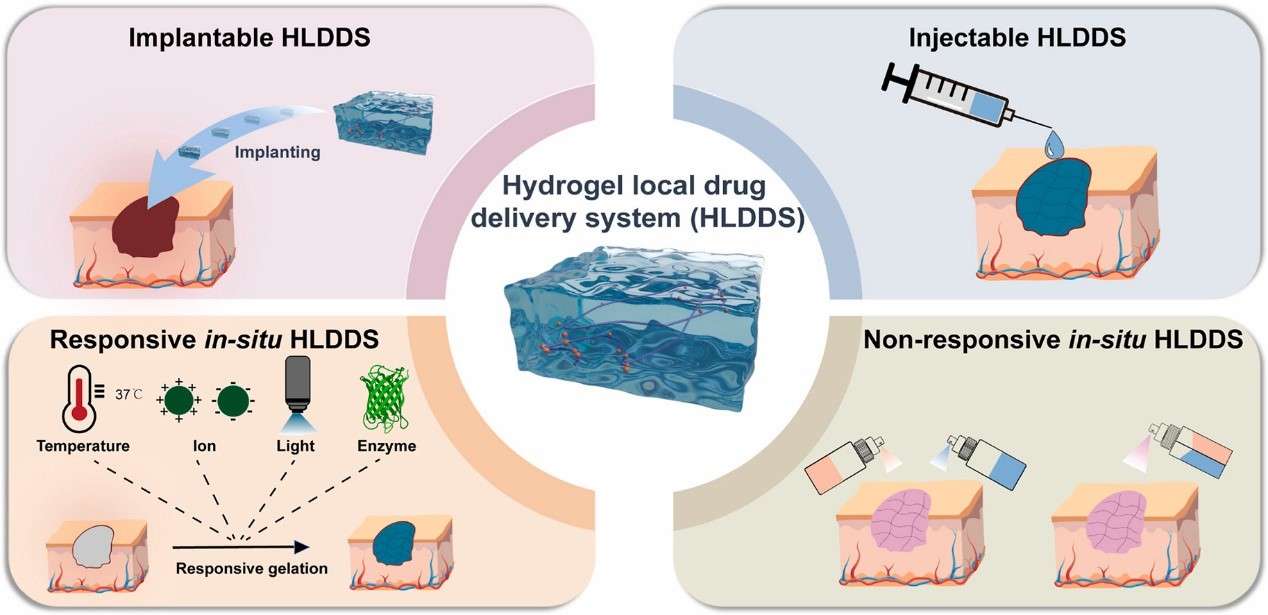 3D Printed Hydrogels Spatially Control Immunotherapy Dosage in Solid Tumor Trials