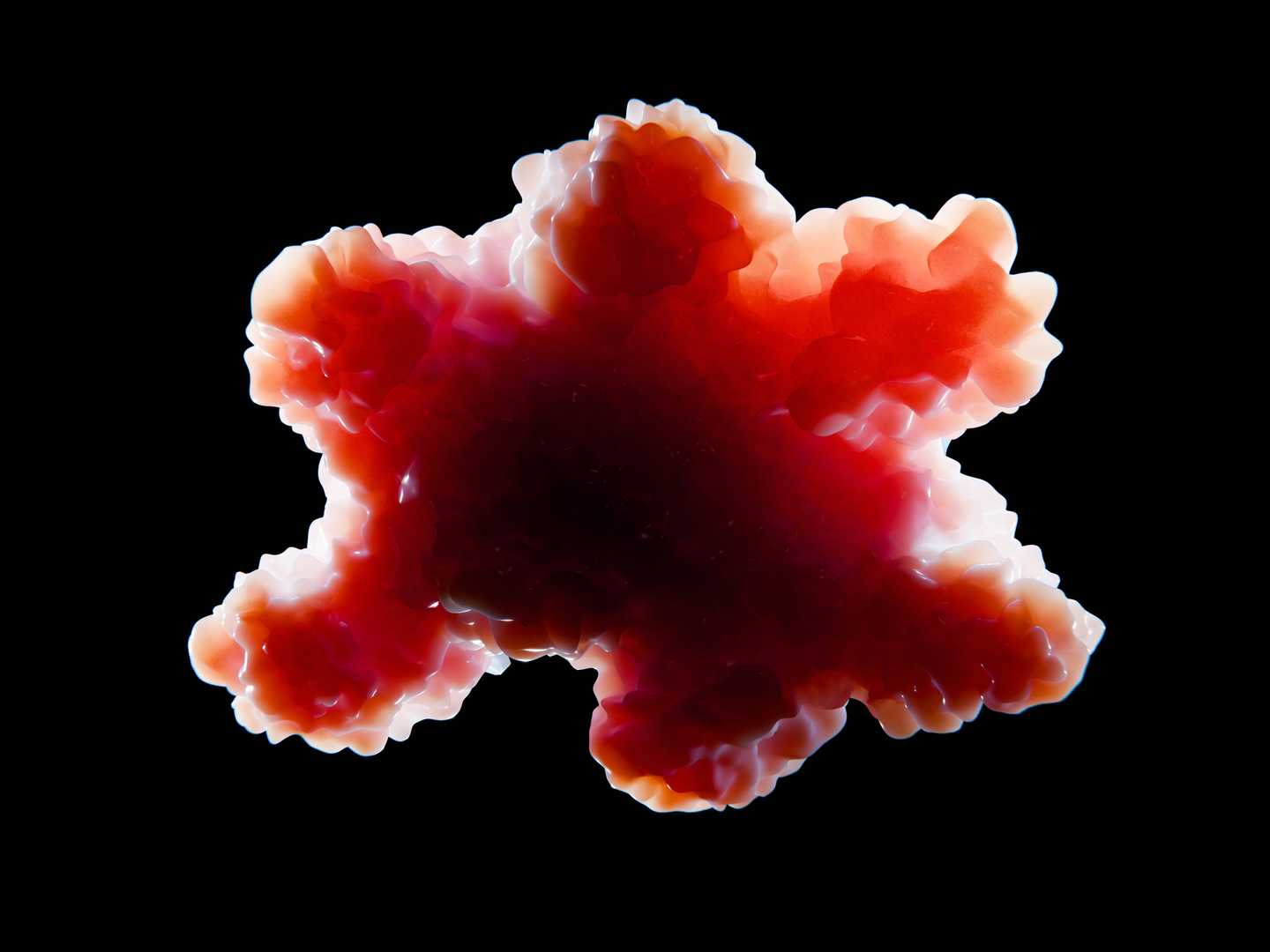 3D Tumor Organoids Meet Immune Cells