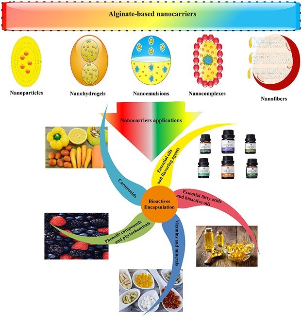 Alginate Nanocarriers for Delivery of Lipophilic Active Substances