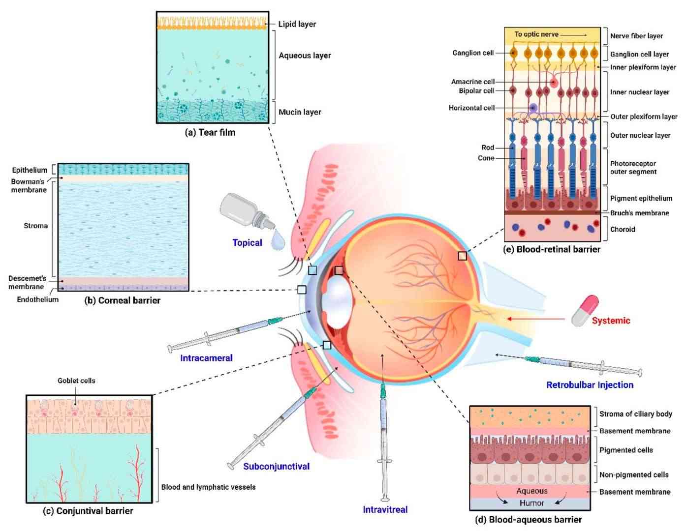 Application of Hyaluronic Acid in Ocular Drug Delivery