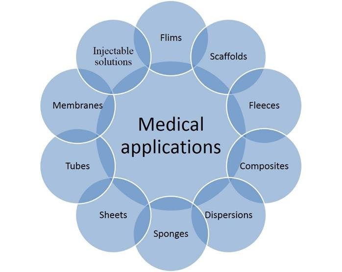 Application Research of Collagen