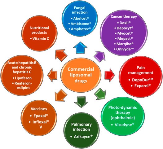 Are Liposomes FDA Approved? Regulatory Considerations in Drug Delivery
