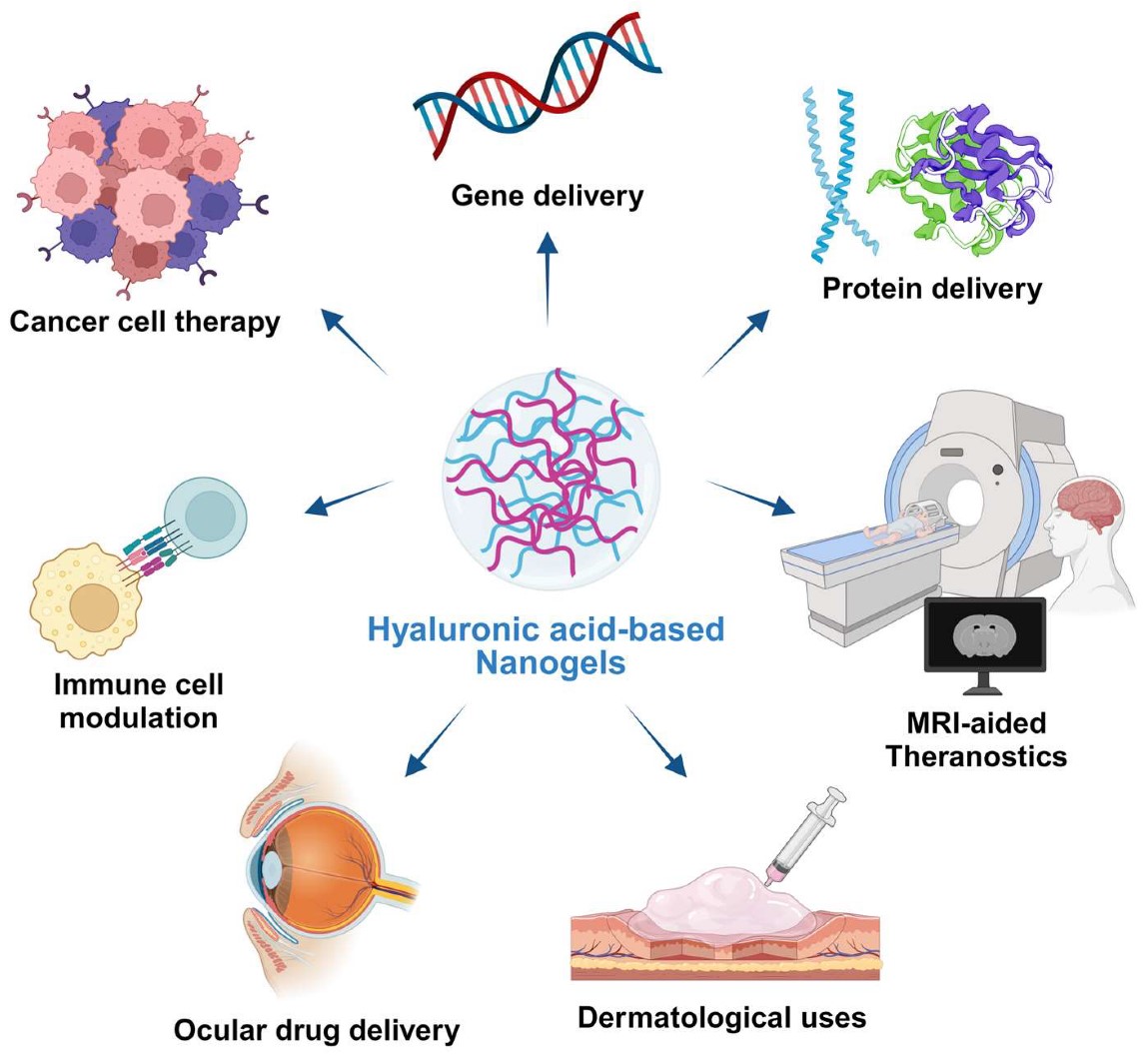Biomedical Applications of Hyaluronic Acid-Based Micro-Nanogels