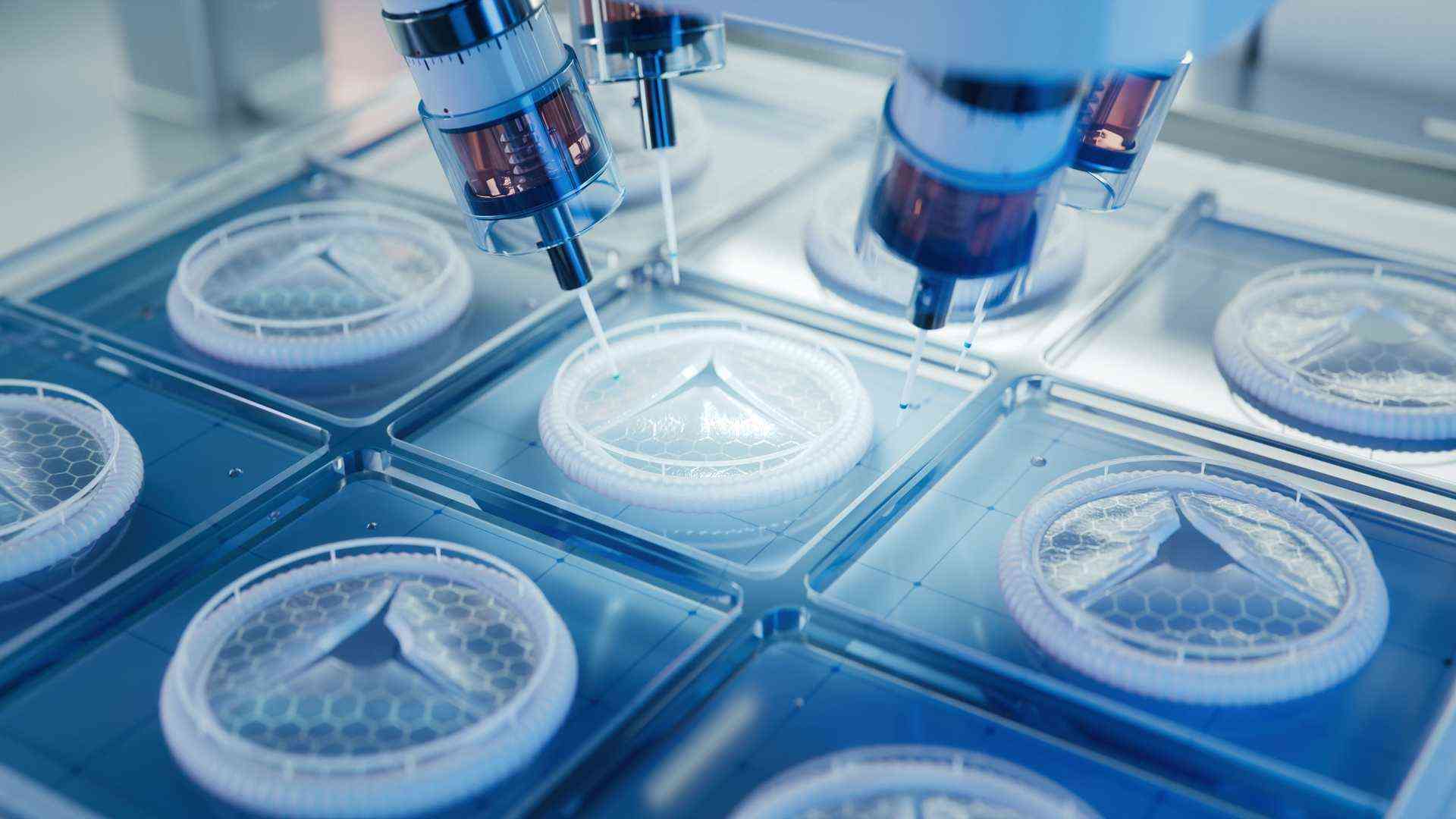 biopolymers synthetic polymers
