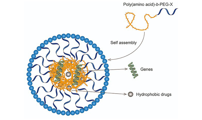 peg polyamino acids