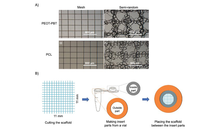 peot/pbt multi-block copolymers