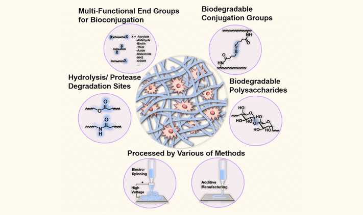 biodegradable polymers