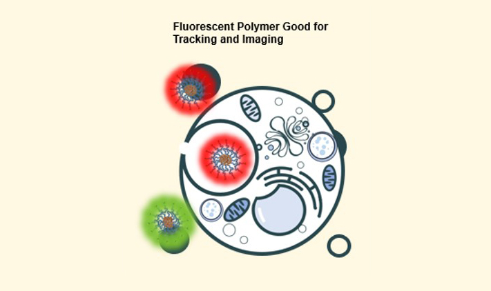 fluorescent polymers