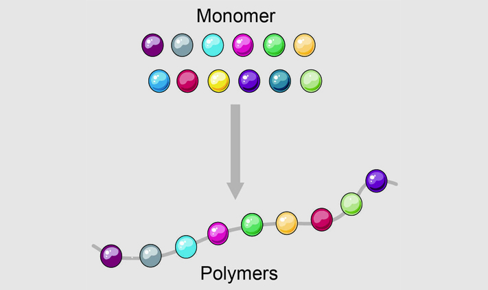 monomers