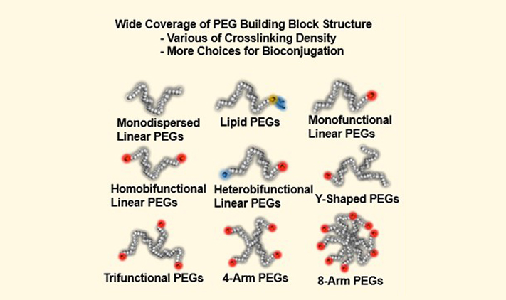 peg conjugations