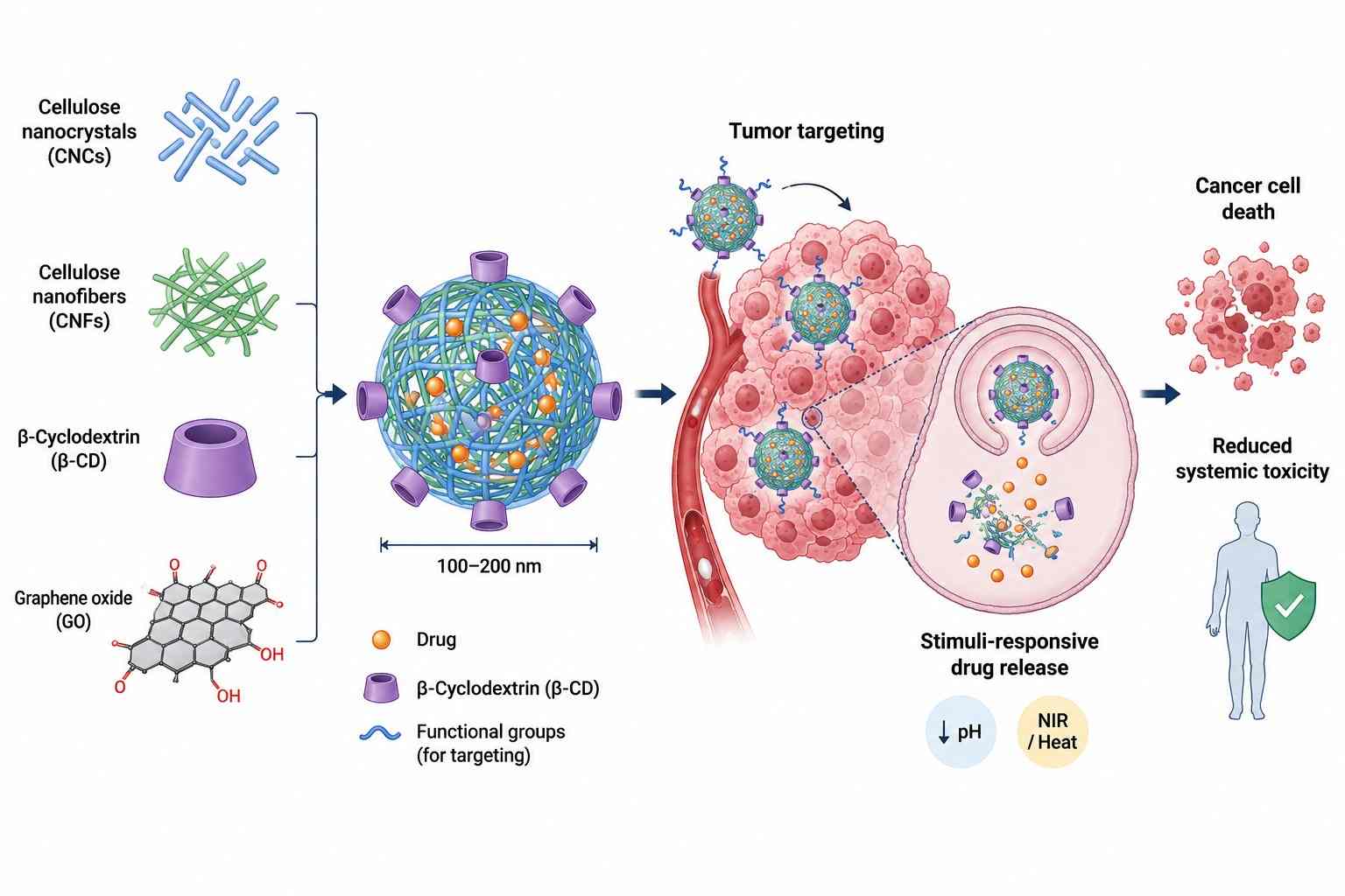 Cellulose Nanocomposites for Cancer Drug Delivery