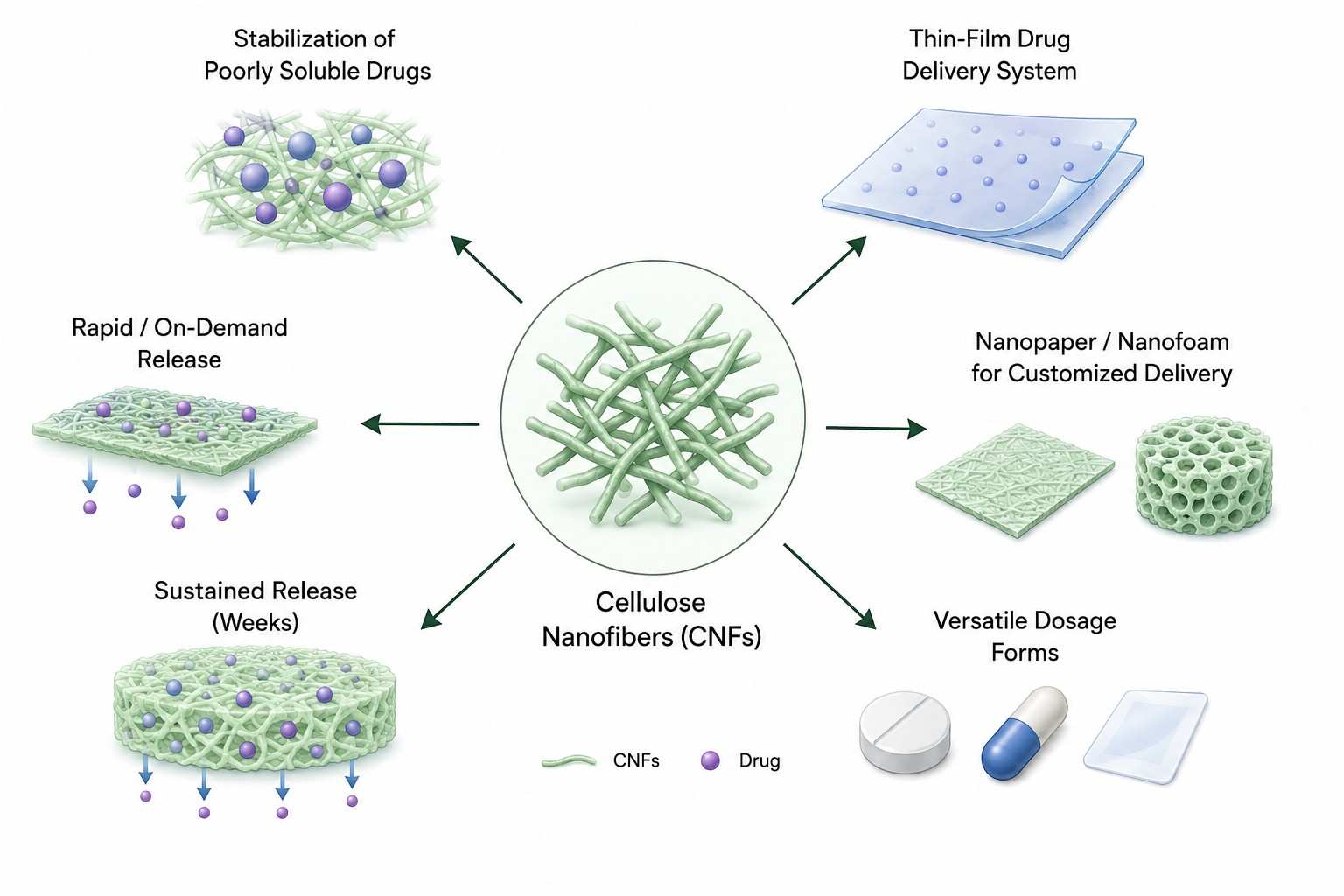 Cellulose Nanofibers in Drug Delivery Innovation