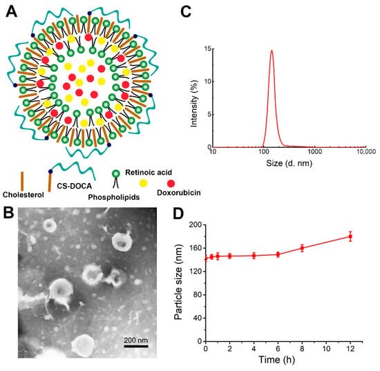 Chondroitin Sulfate Modified Liposomes for Lung Metastasis of Breast Cancer