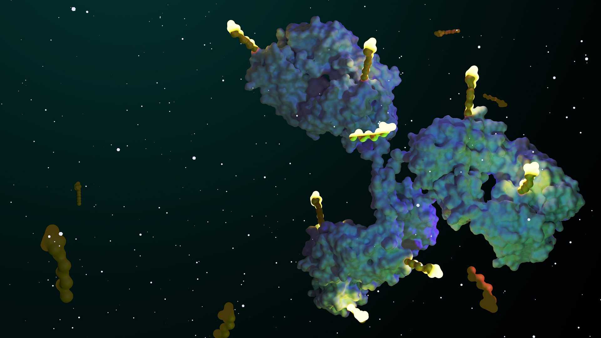 Comprehensive Antibody-Drug Conjugates Services
