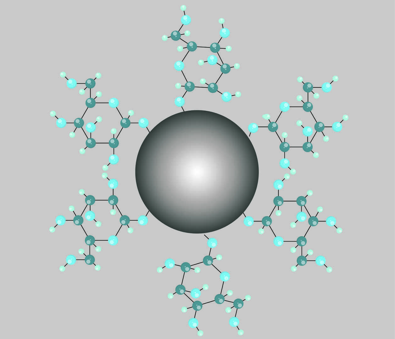 Custom Carbohydrate-Nanoparticle Conjugates