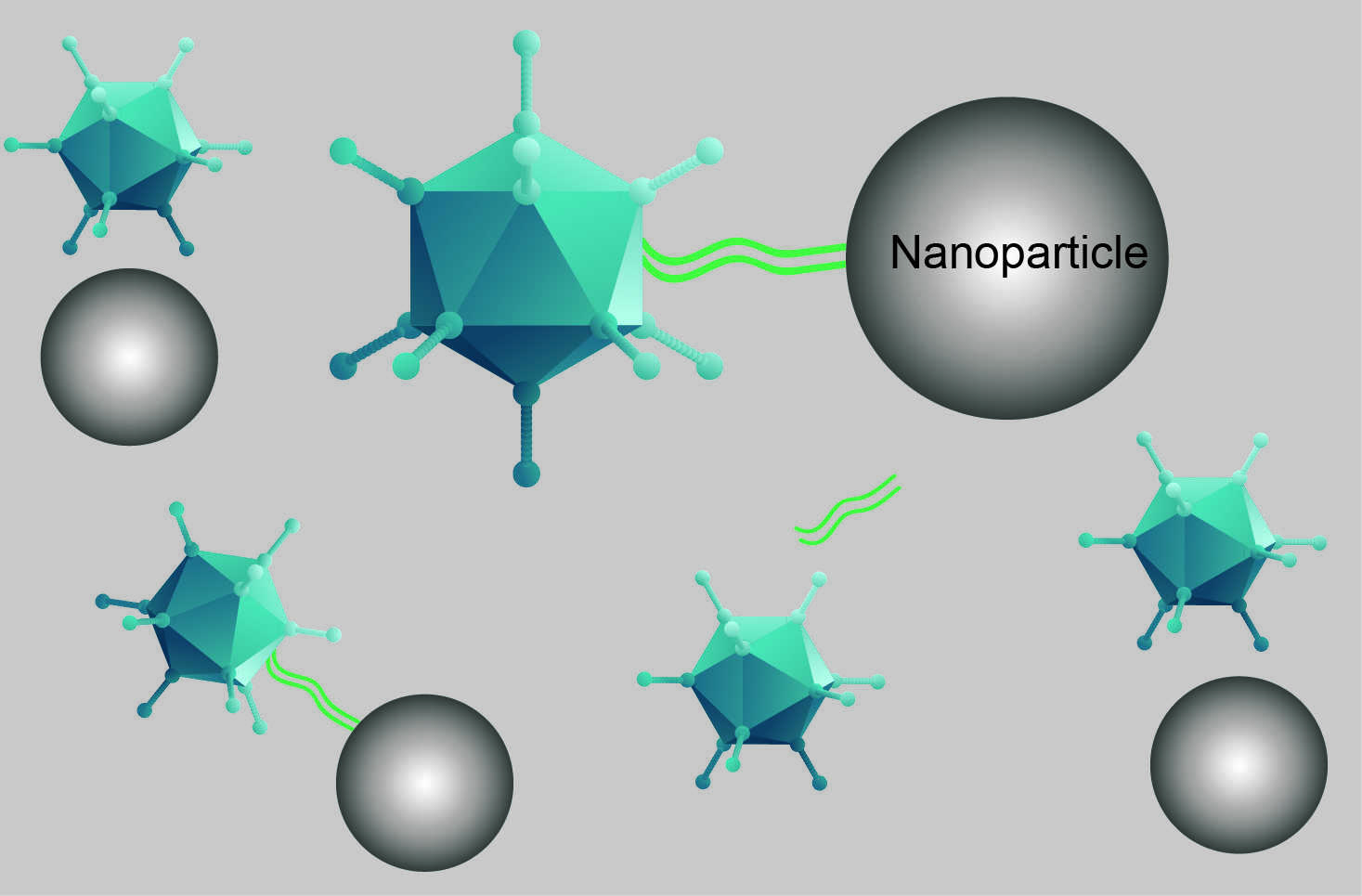 Customizable Viruses-Nanoparticles Conjugates