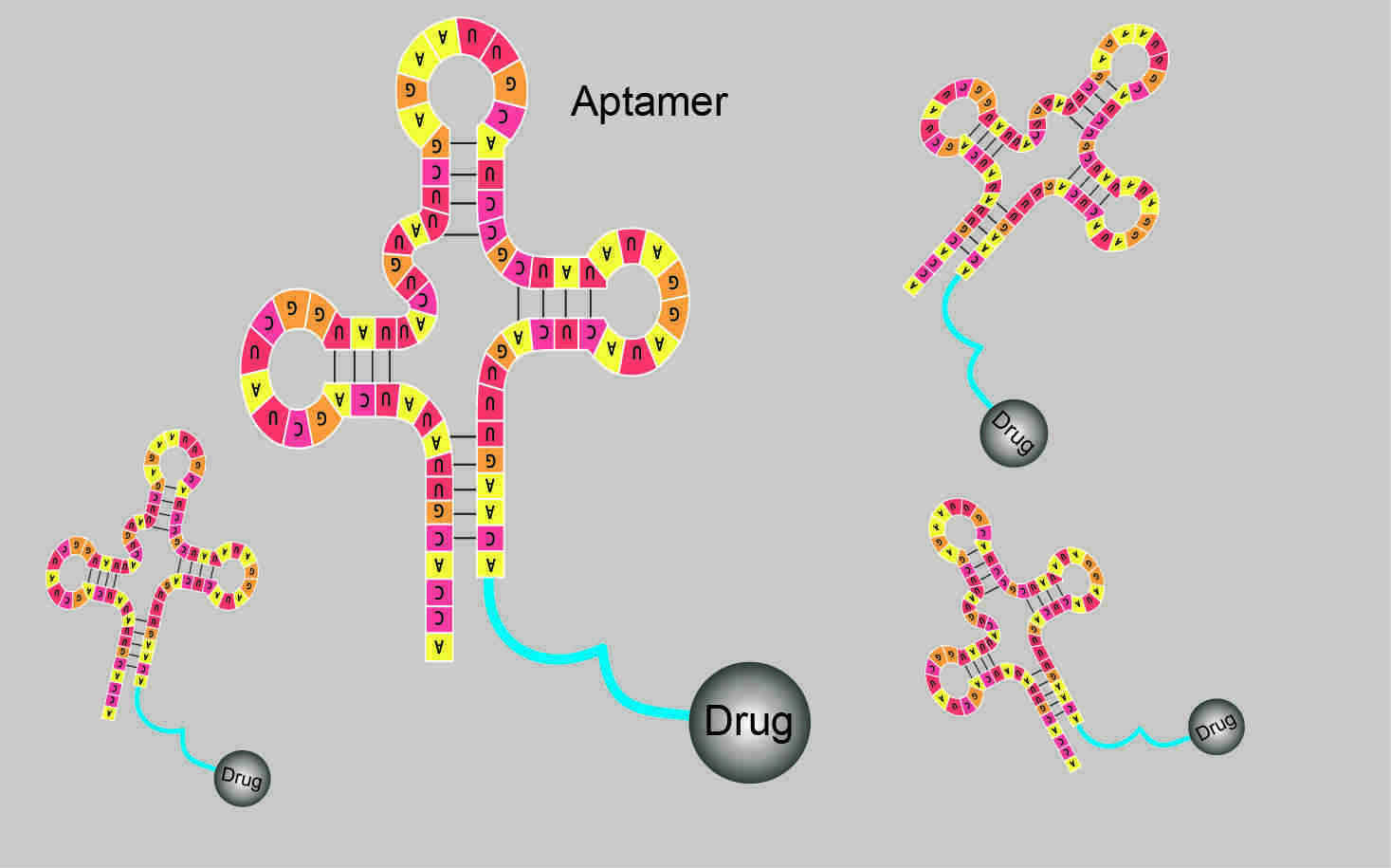 Customized Aptamer-Drug Conjugation System