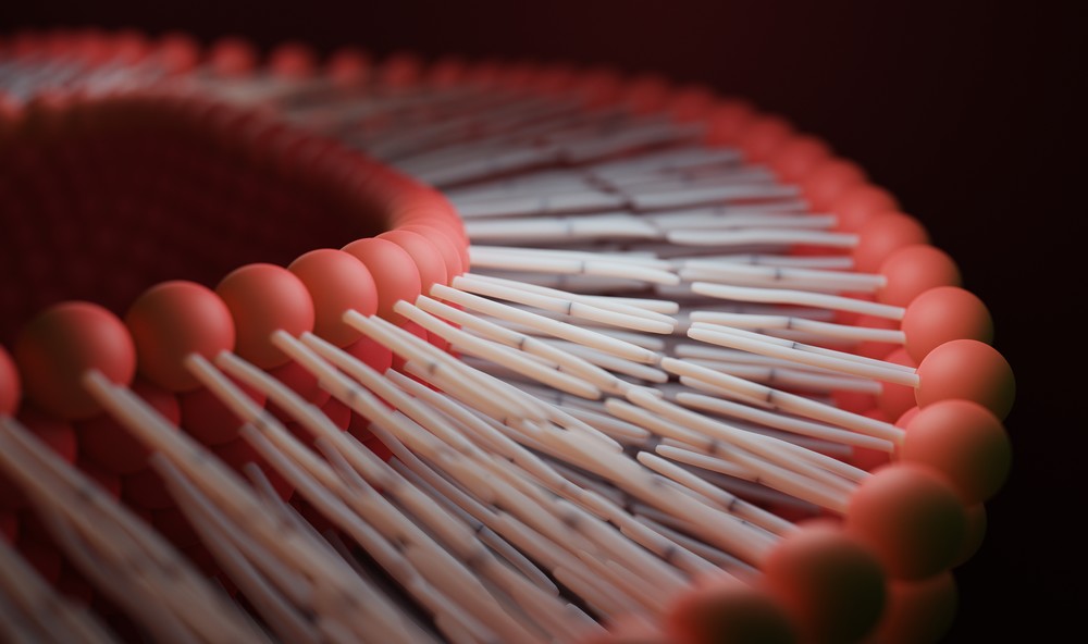 Design Your Carrier: Unleashing Potential with Diverse Reactive Liposomes