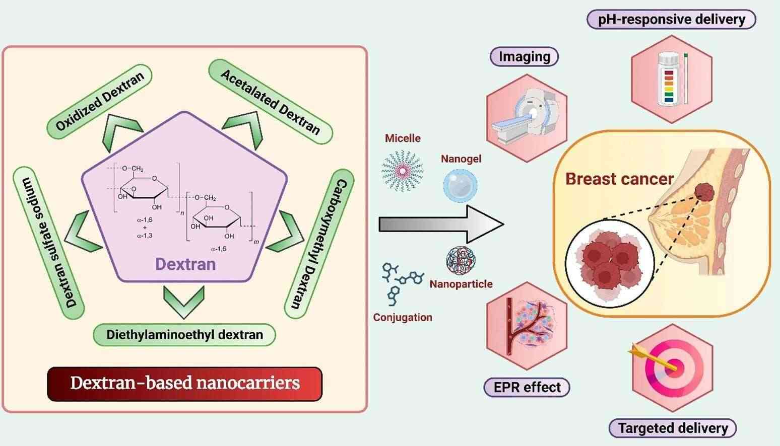 Dextran-Based Nanocarriers for Targeted Drug Delivery