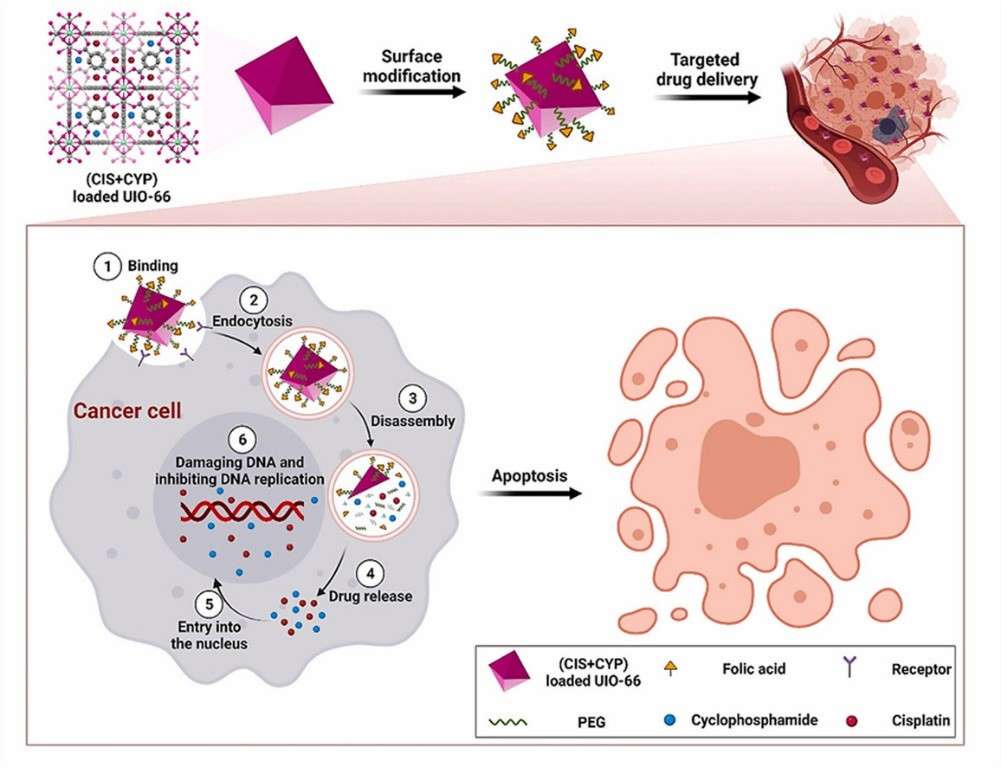 Exploring the Role of UiO-66 in Drug Delivery and Therapeutic Applications